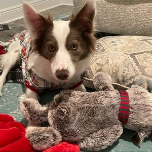 Meet your Posher, Elyssa